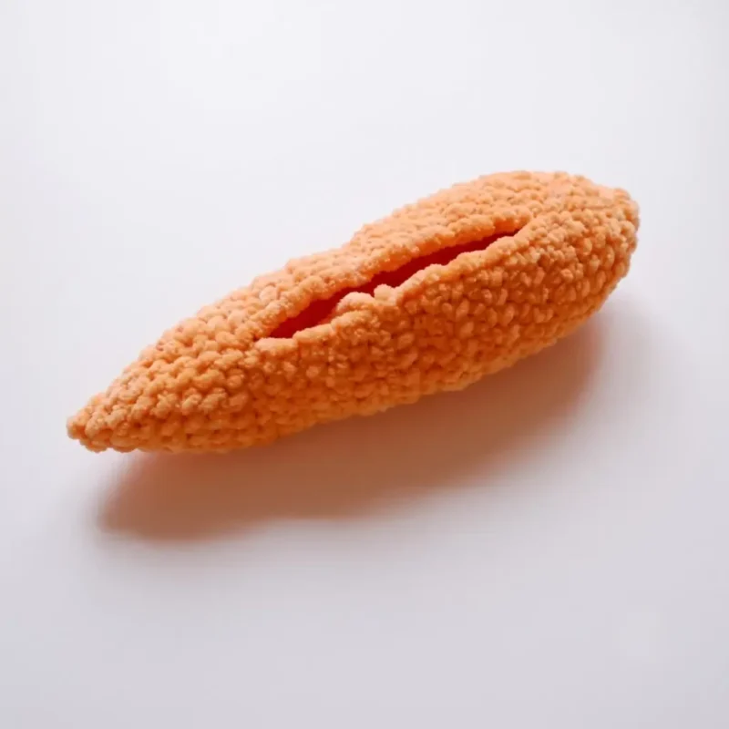 Crochet Carrot Pencil Case Pattern (Free & Playful) — photo 2