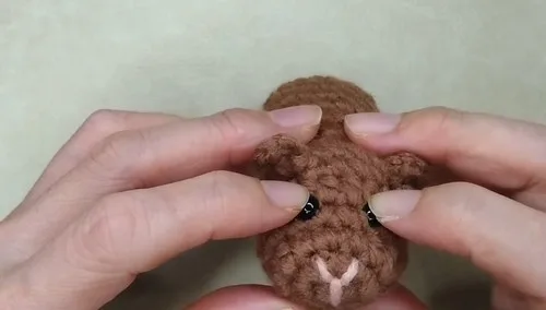 Easy Crochet Guinea Pig Pattern for Beginners — photo 3
