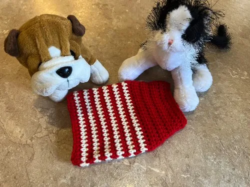 Striped half double crochet sweater for pets